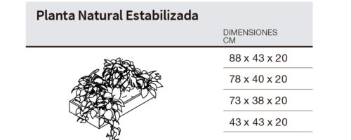 medidas plantas